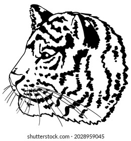 Tiger head profile. Vector illustration portrait of wild cat. Monochrome retro ink drawing clipart isolated on white. Eastern calendar symbol of year. Design element for sticker, decor, card, print.