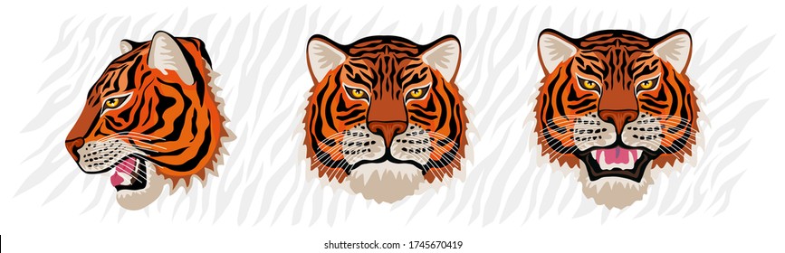 Cabeza de tigre ruge gato salvaje en la colorida jungla. Dibujo de fondo de franjas de tigre. Ilustración de caracteres vectoriales dibujados a mano