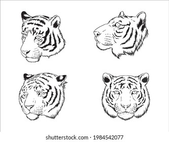 ilustración en blanco y negro del conjunto de cabezas de tigre