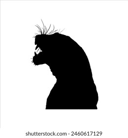 Tiger head silhouette isolated on white background. Tiger head icon vector illustration design.