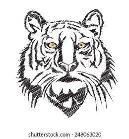 Tiger head sketch with Vector EPS10