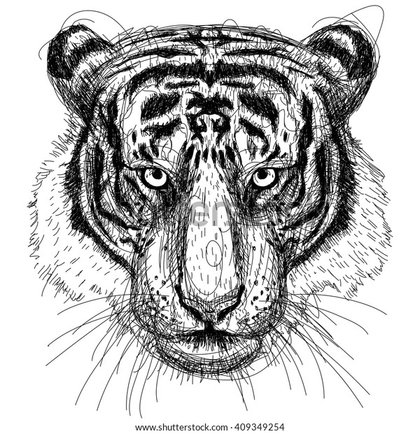 Tiger Head Sketchy Vector Line Art Stock Vector (Royalty Free) 409349254
