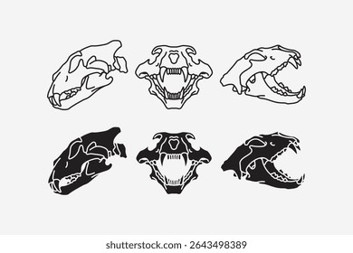Tiger head skulls line icon set. Tiger skull bone silhouette collection. Puma, leo, lion, saber, predator, wildlife, hunting, tattoo, adventure, museum, archaeologist. Vector illustration.