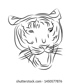 tiger head smile on white background