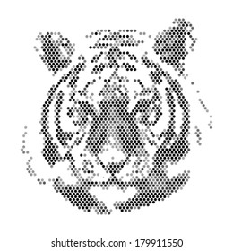 Tiger head. Spotted illustration 