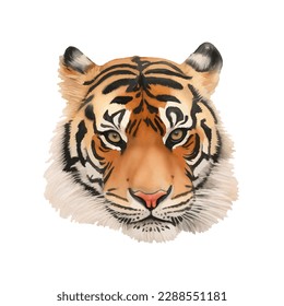 tiger head with style hand drawn digital painting illustration