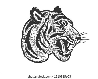 Tiger head tattoo sketch engraving vector illustration. T-shirt apparel print design. Scratch board imitation. Black and white hand drawn image.