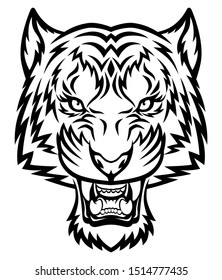 Tiger head. This is vector illustration ideal for logo, mascot, tattoo or T-shirt graphic.