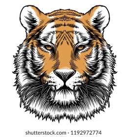 Tiger Head Vector