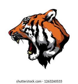 tiger head vector