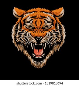 tiger head vector