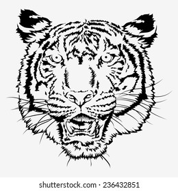 Tiger head vector graphics. 