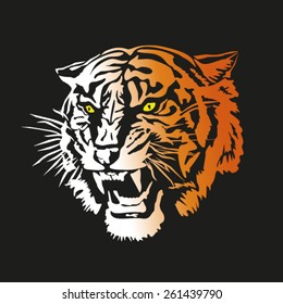 Tiger head.  Vector illustration.