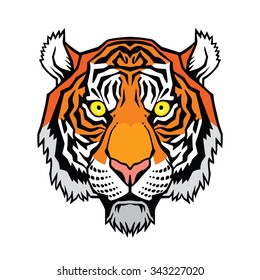 Tiger head. Vector illustration of a tiger.