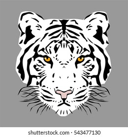 Tiger head, vector illustration