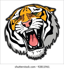 Tiger Head - Vector Illustration