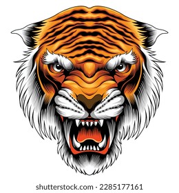 tiger head vector illustration in detailed style