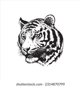 Tiger head vector illustration, engrave isolated