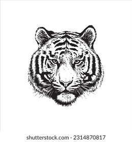 Tiger head vector illustration, engrave isolated
