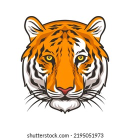 tiger head vector illustration graphic mascot with color