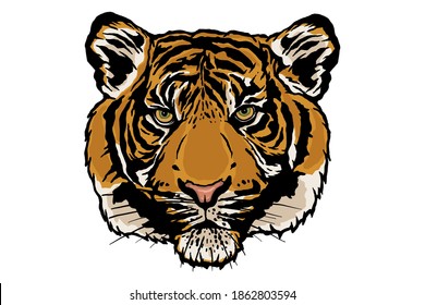 Tiger head vector illustration - Hand drawn 