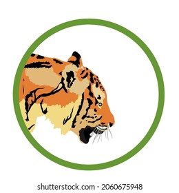 Tiger head vector illustration isolated on white background. Big wild cat. Siberian tiger. Amur tiger. Panthera tigris altaica or Bengal tiger. Zoo predator attraction.