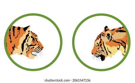 Tiger head vector illustration isolated on white background. Big wild cat. Siberian tiger. Amur tiger. Panthera tigris altaica or Bengal tiger. Zoo predator attraction.