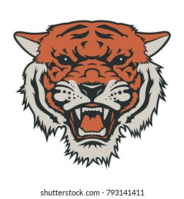 Tiger head, vector illustration. T-shirt graphics. Tiger logo