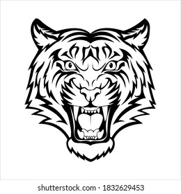 tiger head vector image design