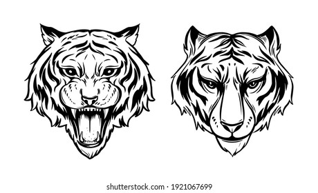 Tiger head, vector outline illustration.  Animals sign