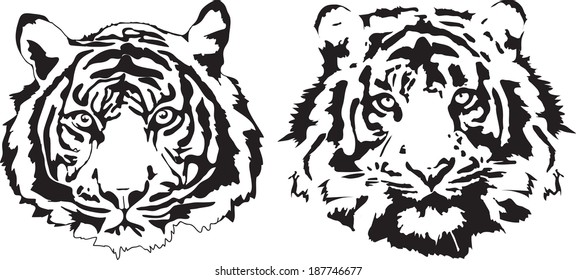 tiger heads in black interpretation