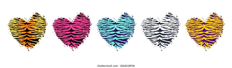 Juego de impresión de forma de corazón de tigre. Textura de patrón de piel animal salvaje. El corazón rayado por el pincel dibujado a mano naranja, rosa, azul, blanco y amarillo. Diseño de impresión de moda texturada vectorial, etiqueta, fondo.