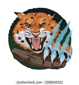un tigre con sus potentes garras
