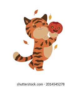 Tigre sosteniendo un aislamiento de calabaza de halloween sobre un fondo blanco. Gráficos vectoriales.