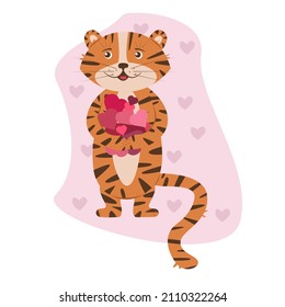  Tiger holding hearts in paws. Idea for illustration for Valentine's Day. Flat vector design of symbol of New Year 2022.