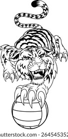Tigre segurando uma bola de vôlei com design de mascote de equipe de esportes de garra afiada.