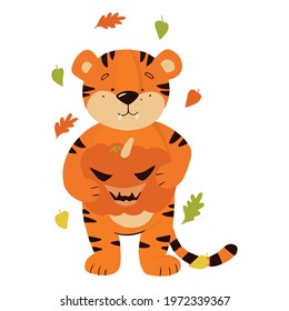 The tiger holds a pumpkin surrounded by swirling leaves. Coloring book for children with color example. Vector illustration.