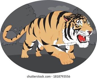 a tiger hunt for prey in the village