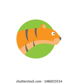 Tiger icon on a white background