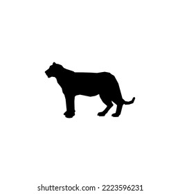 tiger icon silhouette style design. tiger vector illustration. isolated on white background.