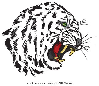 tiger illustration