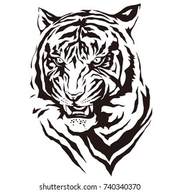 Tiger illustration