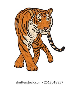 Ilustração do Tigre Colorida - Tigre 01