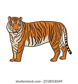 Ilustração de Tigre Colorida - Tigre 05