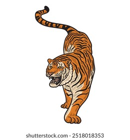 Tiger Illustration Colored - Tiger 11