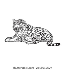 Tiger Illustration Colorless - Tiger 03