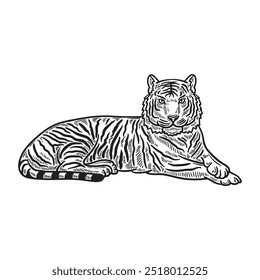 Tiger Illustration Colorless - Tiger 07