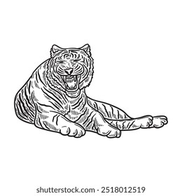 Ilustração do Tigre Incolor - Tigre 10