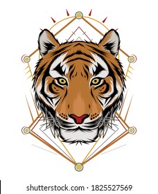 Tiger illustration design. vector tiger head.