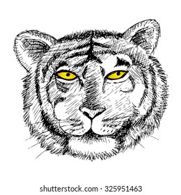 
tiger illustration, hand drawn sketch of tiger head